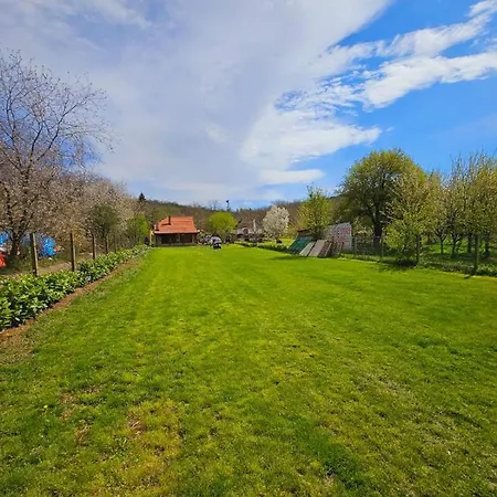 Vikendica Fruska House *