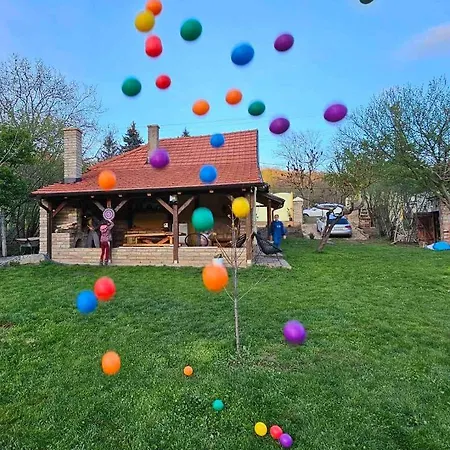 Fruska House Case de vacanță