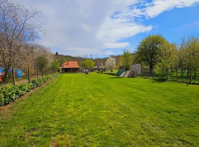 Tatil Evi Fruska House *